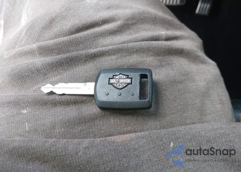 2008 Ford F-250 Fx4/Harley-Davidson/King Ranch/Lariat/Xl/Xlt z USA, uszkodzony, nr VIN 1FTSW21R78ED95180